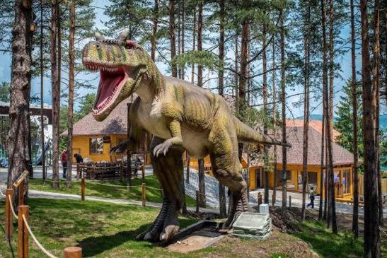 BlueStar Apt & Spa Zlatibor - Apartman sa 1 Spavaćom Sobom - 70