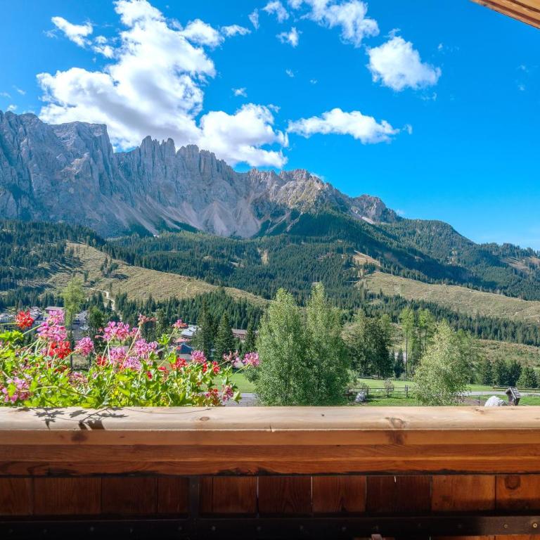 Angerle Alm Apt Rosengarten - Appartement 1 Chambre Supérieur avec Balcon - 26