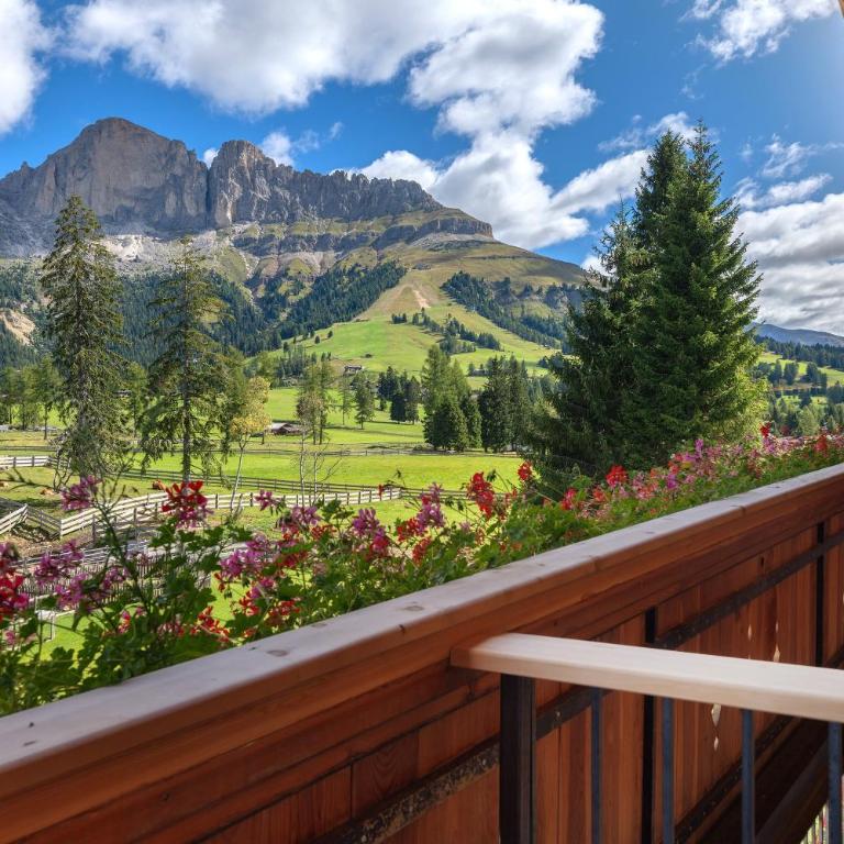 Angerle Alm Apt Rosengarten - Appartement 1 Chambre Supérieur avec Balcon - 6