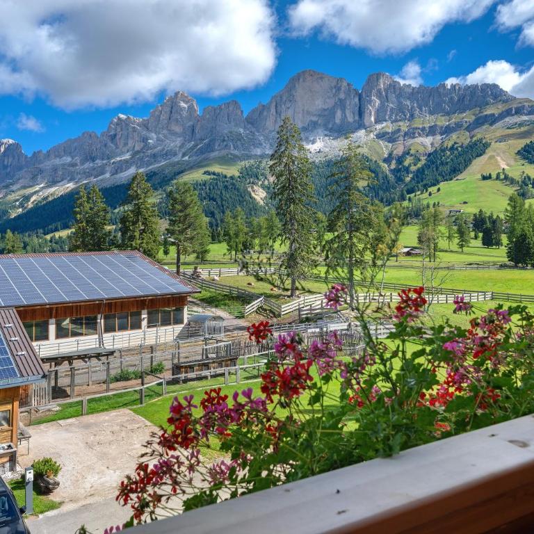 Angerle Alm Apt Rosengarten - Appartement 1 Chambre Supérieur avec Balcon - 7