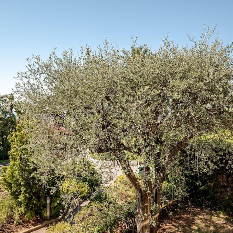 Renovated apartment in Les Belles Terres - sea view - Appartement 2 Chambres - 4