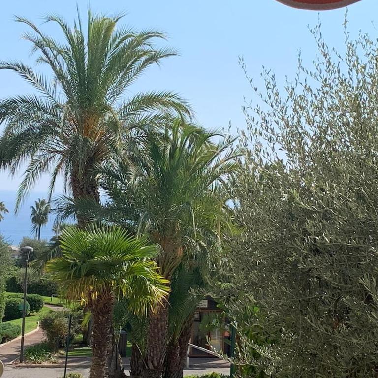 Renovated apartment in Les Belles Terres - sea view - Appartement 2 Chambres - 13