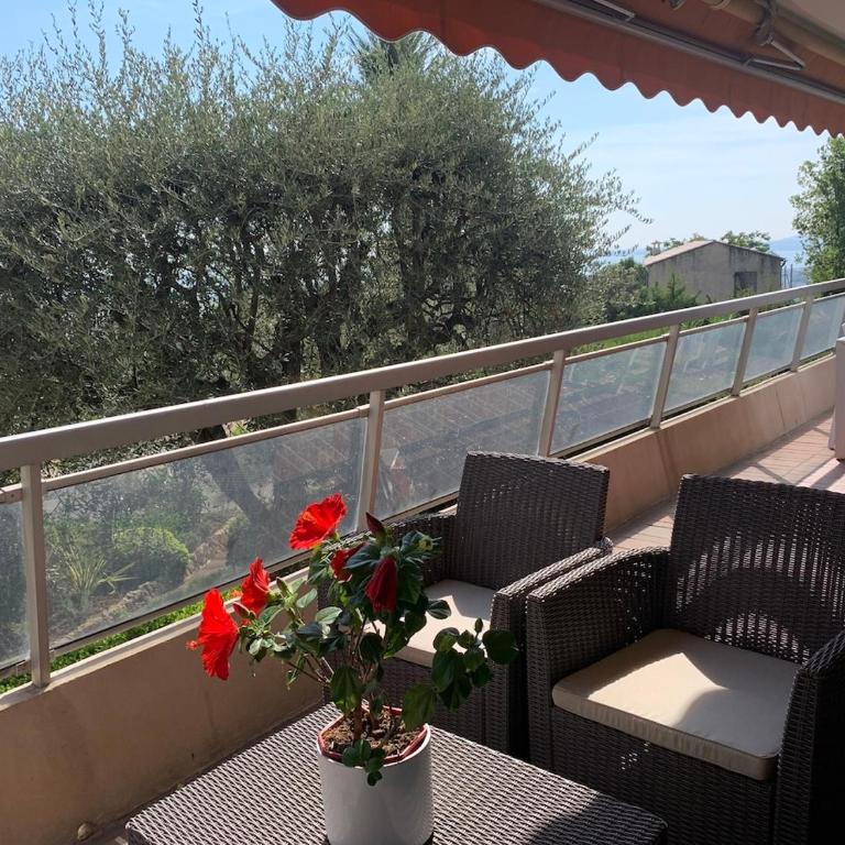 Renovated apartment in Les Belles Terres - sea view - Appartement 2 Chambres - 25