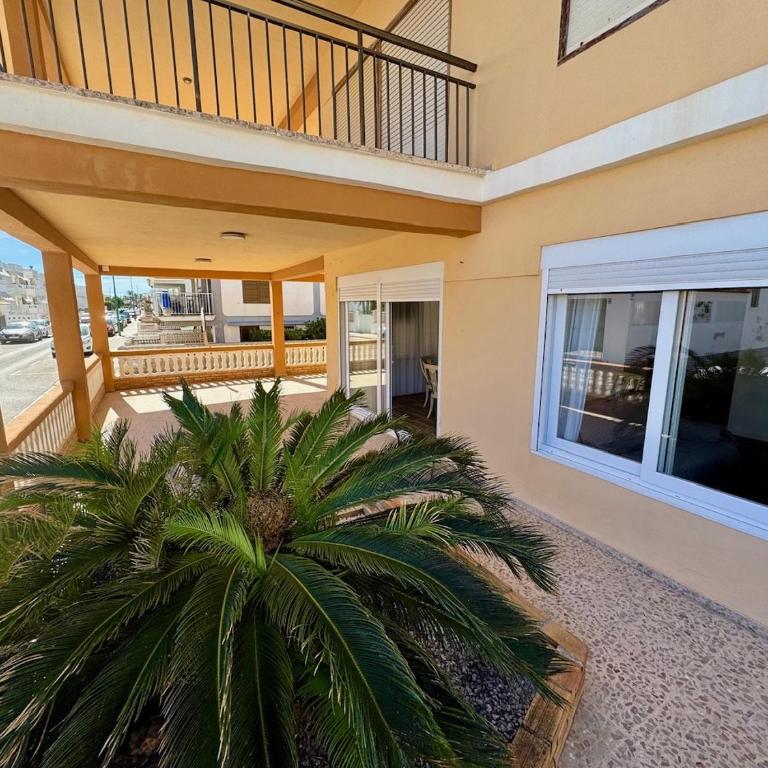 A pie de Mar - Gran Terraza Oliva - Apartamento - 14