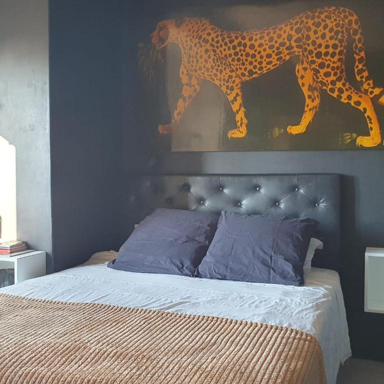 Le Quai du Soleil - Appartement 1 Chambre - 7