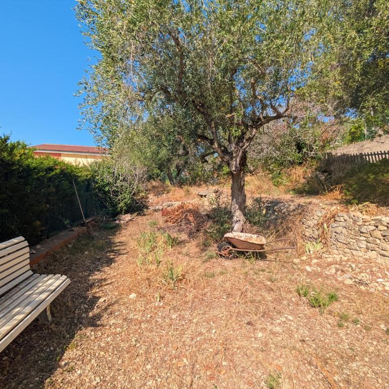 L'Oasis d'Eze - Apartamento de 1 dormitorio - 4