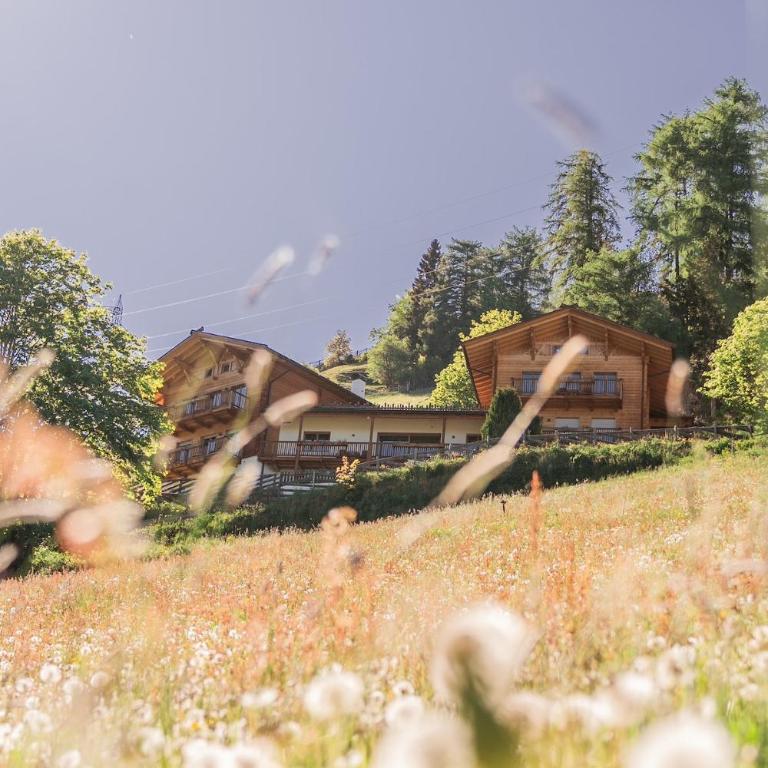 Residence am Kalchgruberhof - wohnen mitten in der Natur - Appartamento con 2 Camere da Letto e con Vista Montagna - 10