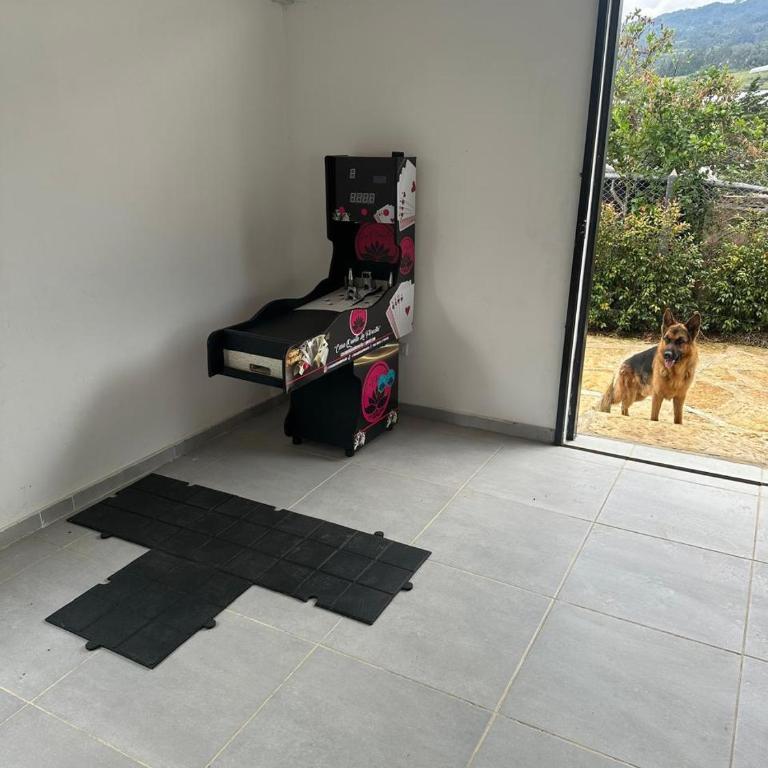 Quinta La Florecita - Villa - 21