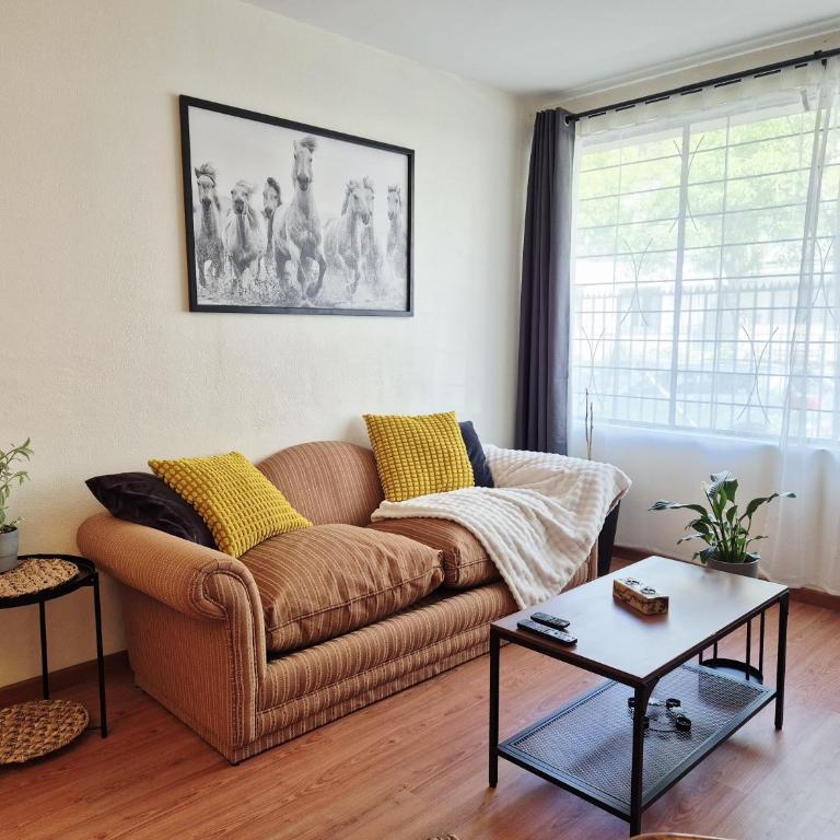 Acogedor departamento en el centro de Viña del Mar - Apartamento de 2 dormitorios con vistas al jardín - 1