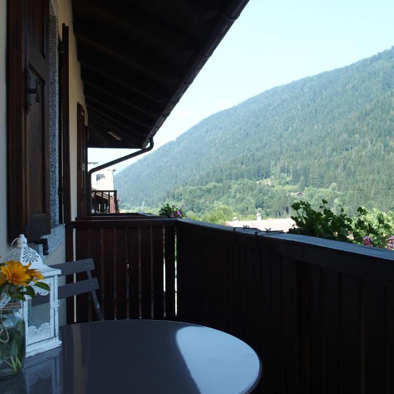 Bright apartment in Val Rendena - Appartement 2 Chambres - 24