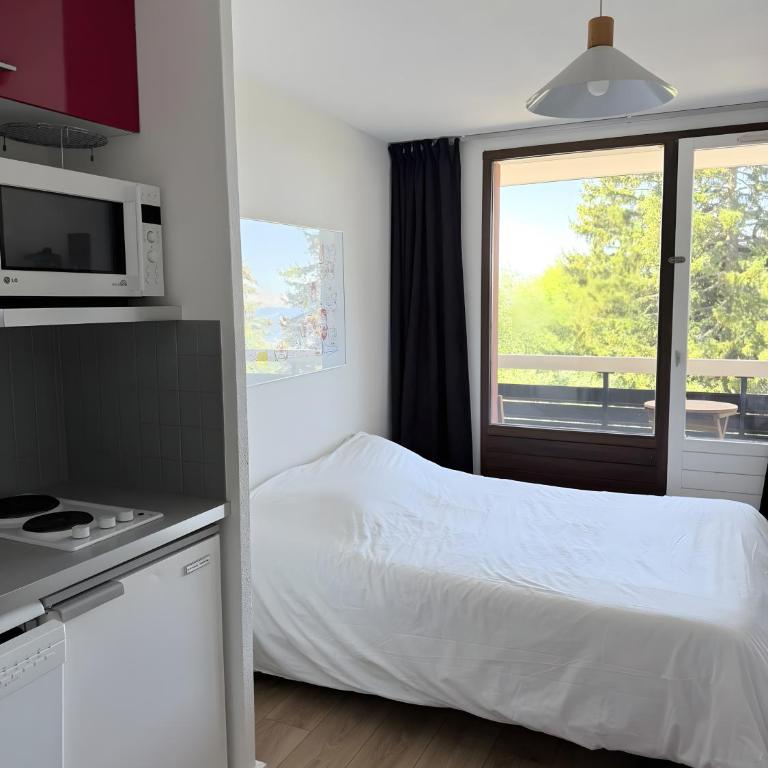 Résidence Les Marmottes - Studio Supérieur - 10