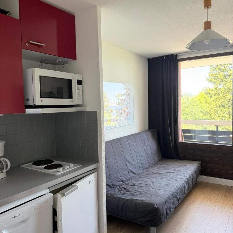 Résidence Les Marmottes - Studio Supérieur - 9