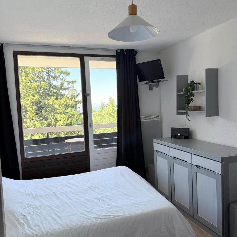 Résidence Les Marmottes - Studio Supérieur - 2
