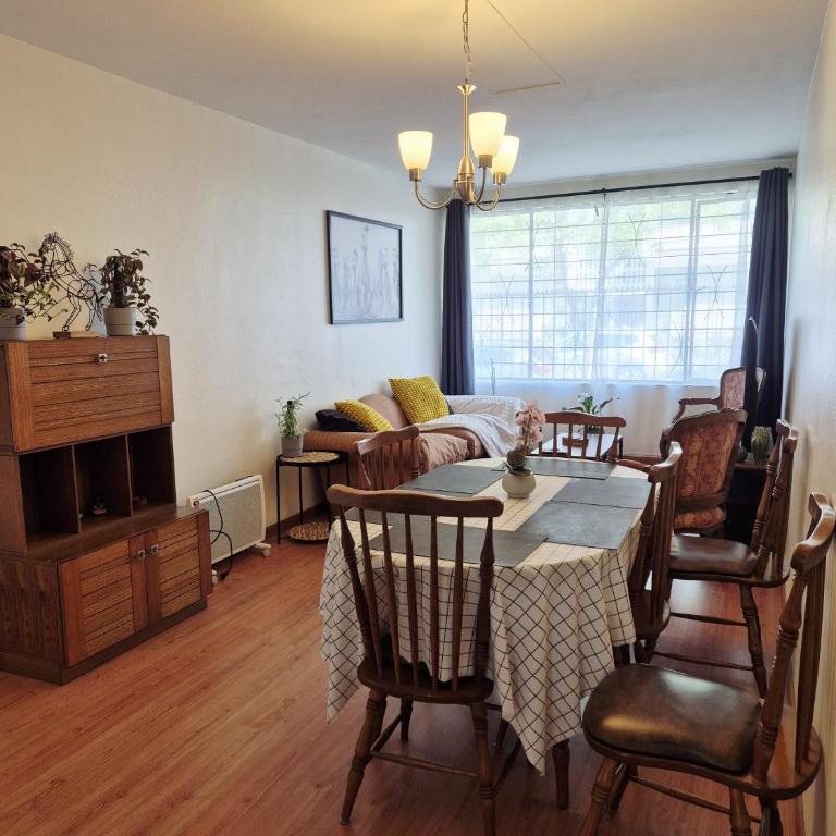 Acogedor departamento en el centro de Viña del Mar - Apartamento de 2 dormitorios con vistas al jardín - 5