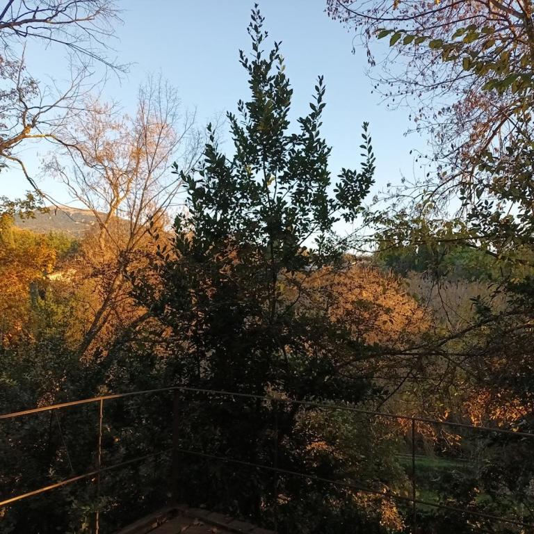 Bas de villa en pleine nature - Apartment mit 2 Schlafzimmern und Terrasse - 10