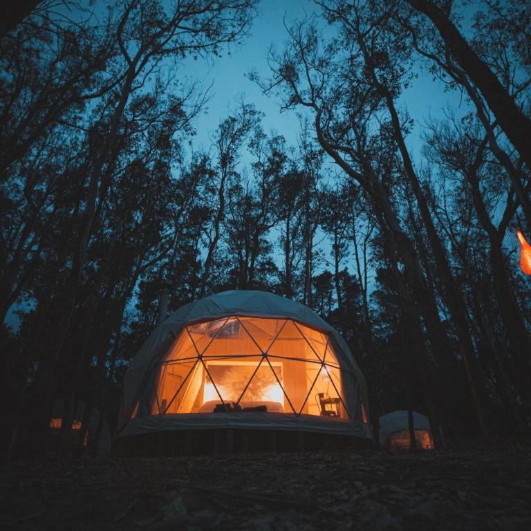 Big Bang Nature Stays - Duplex Quadruple Room - 7