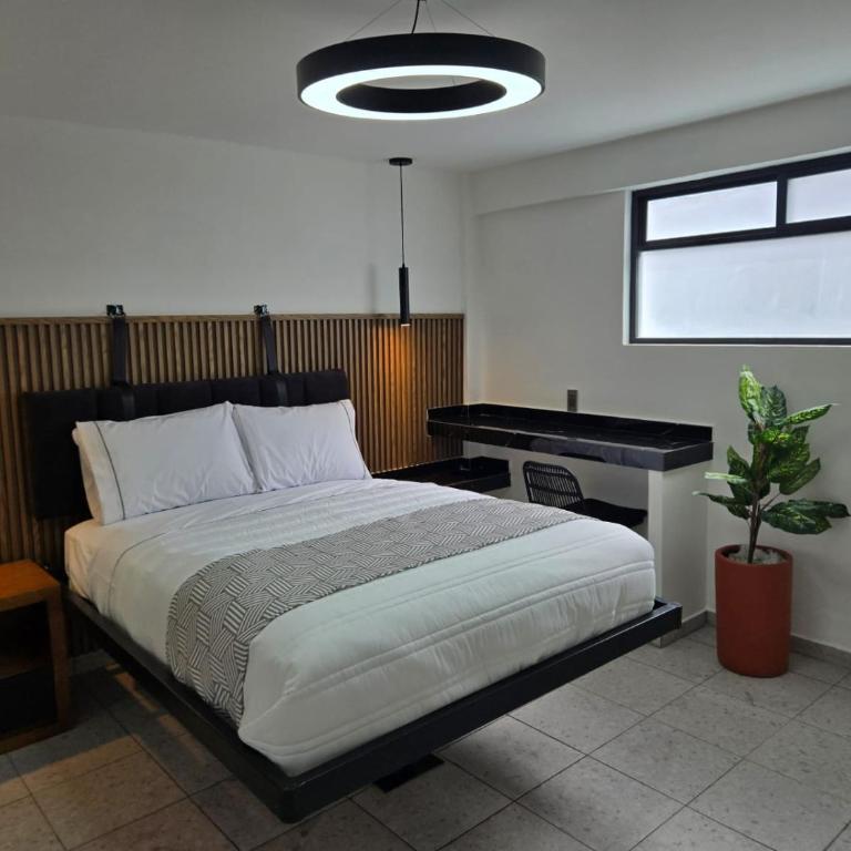 Oceania 198 cerca del Aeropuerto CDMX y Estadio GNP - Zimmer mit Queensize-Bett - 11