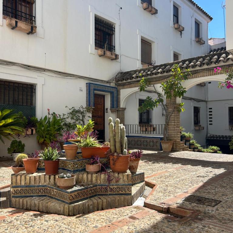 El Patio De La Aljama - Apartment - 1