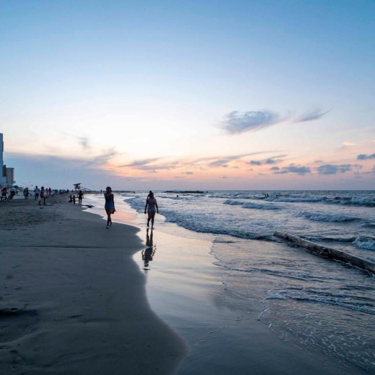 Marbella Beach - Apartamento - 15