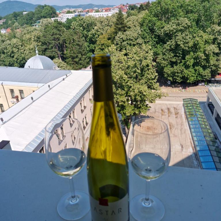 Apartman Vrnjačka Banja - Apartman sa 1 Spavaćom Sobom - 20