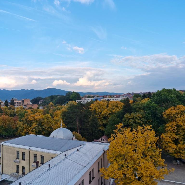Apartman Vrnjačka Banja - Apartman sa 1 Spavaćom Sobom - 19