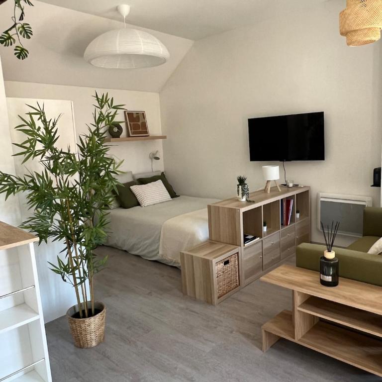 Spacious & Quiet Studio - 50 m from Metz Cathedral - Apartment - 1