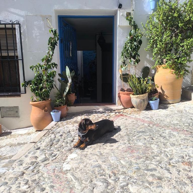 Casa Chaouen - Casa con 1 dormitorio - 29