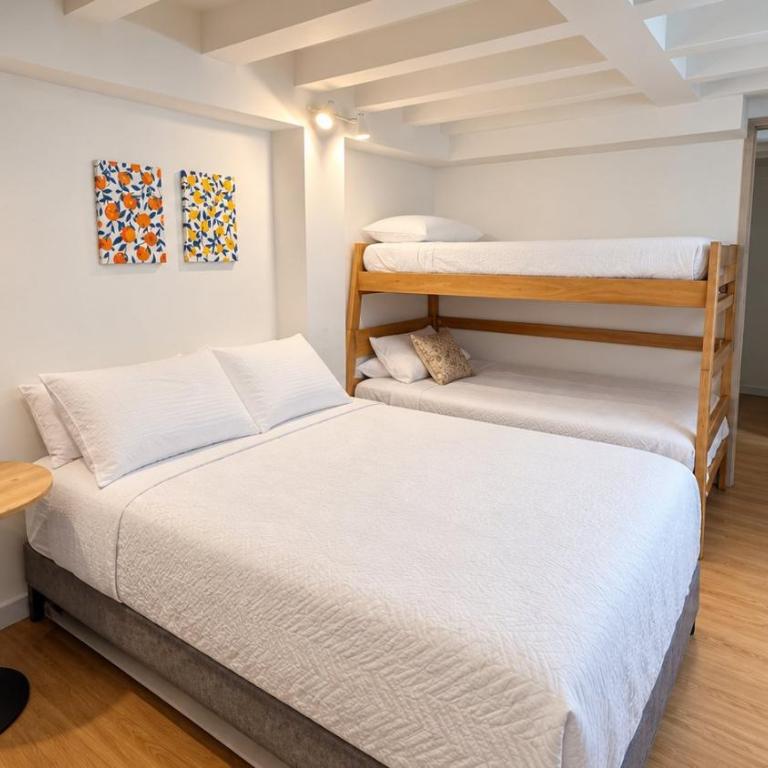 Homy Apartamentos-Deluxe - Apartment - 3