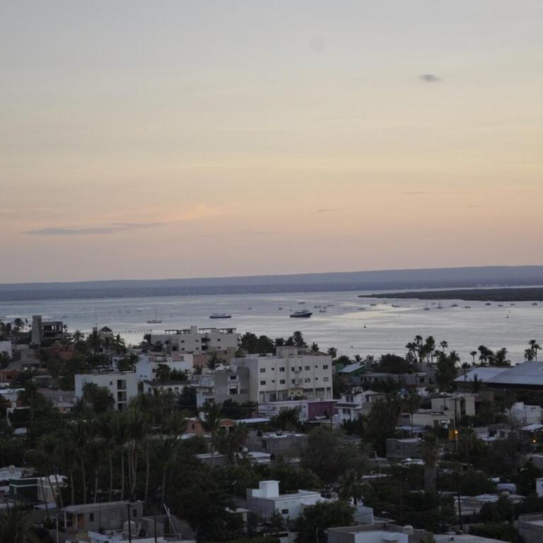 The Ideal condo for a great stay fully equiped - Apartamento de 2 dormitorios - 8