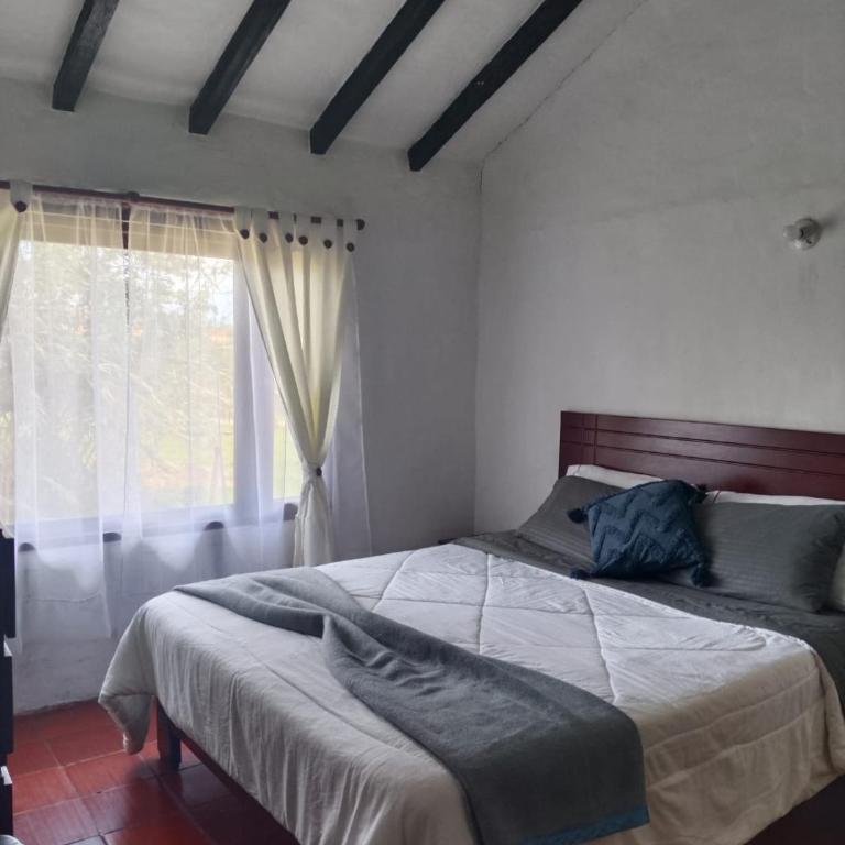 Hospedaje Casa Campestre Pistacia Vera - Villa de Leyva - Vacation Home - 8