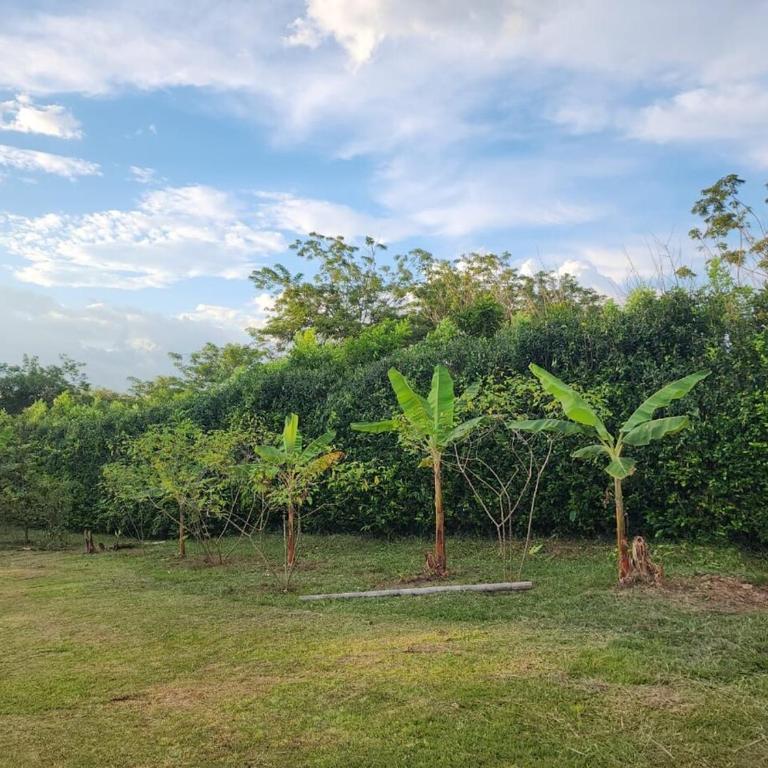 Chalet en Quindio - Casa con 1 dormitorio - 47