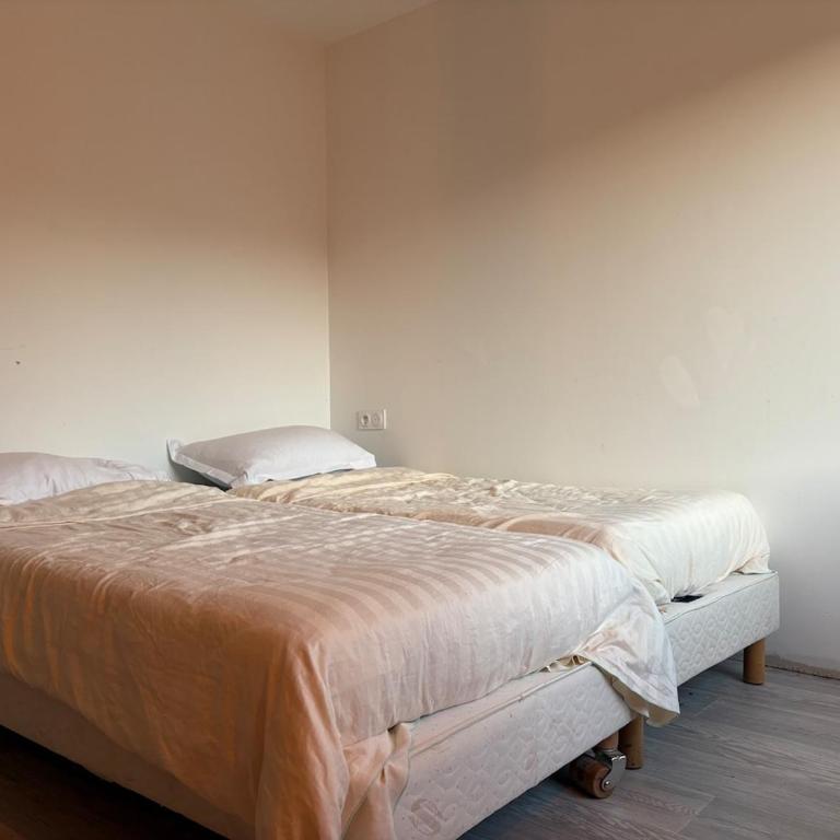 Apartment et jardin - Appartement 2 Chambres - 9