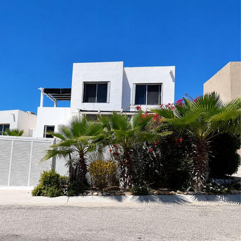 Residencial Los Tules Casa 5 - Apartamento de 2 dormitorios - 1