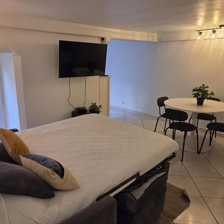 Le Cosy - Place Masséna - Appartement 1 Chambre - 22