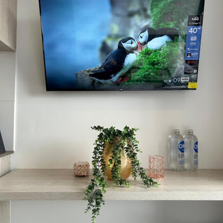 Arezzo 120, Centro Loft Usaquen, coworking - Apartamento de 1 dormitorio - 3