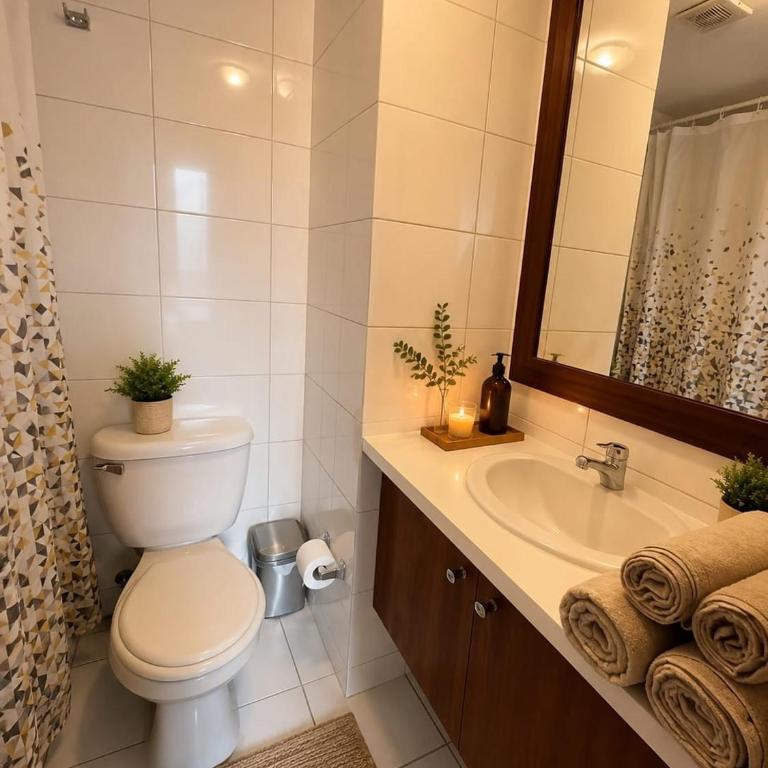 Boutique apartment in Lastarria, Bellas Artes Metro - One-Bedroom Apartment - 2