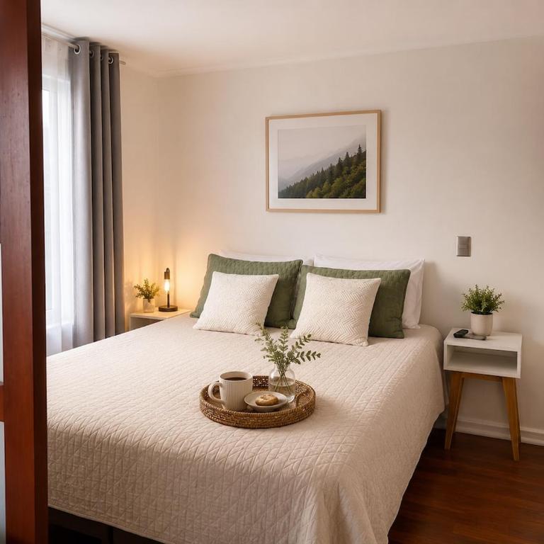 Boutique apartment in Lastarria, Bellas Artes Metro - One-Bedroom Apartment - 5