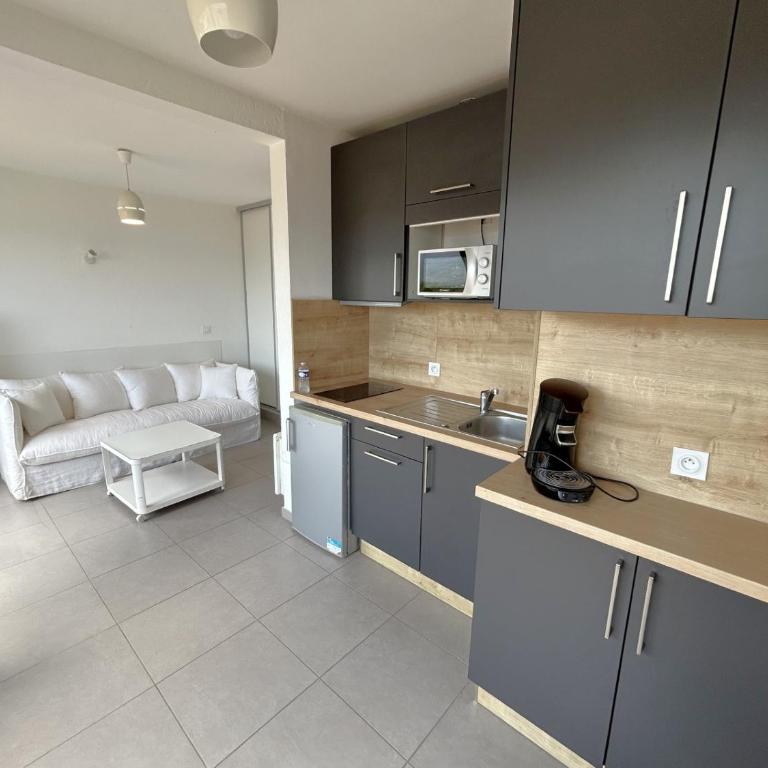 Studio vue mer - 2/3 pers. - FR-1-837-156 - Estudio - 2