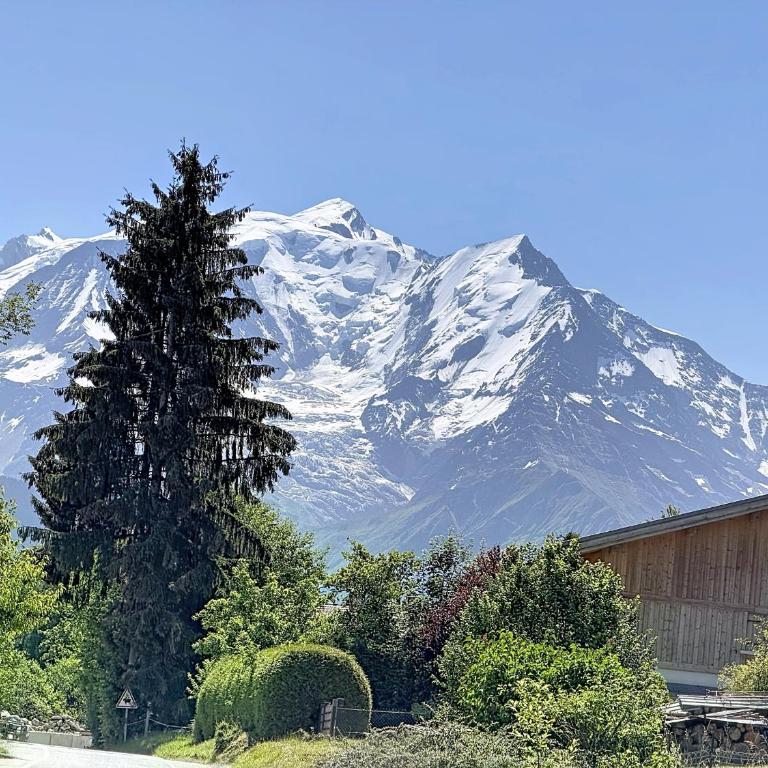 Chalet vue Mont-Blanc - 6 pers. - Chalet 3 Chambres - 4