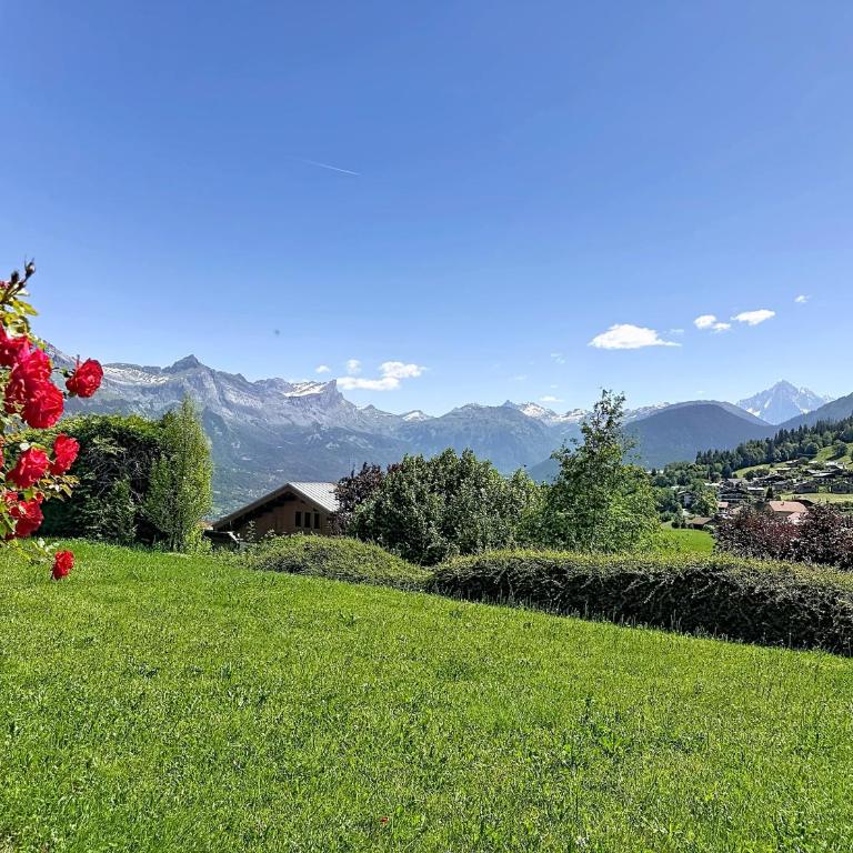 Chalet vue Mont-Blanc - 6 pers. - Chalet 3 Chambres - 14