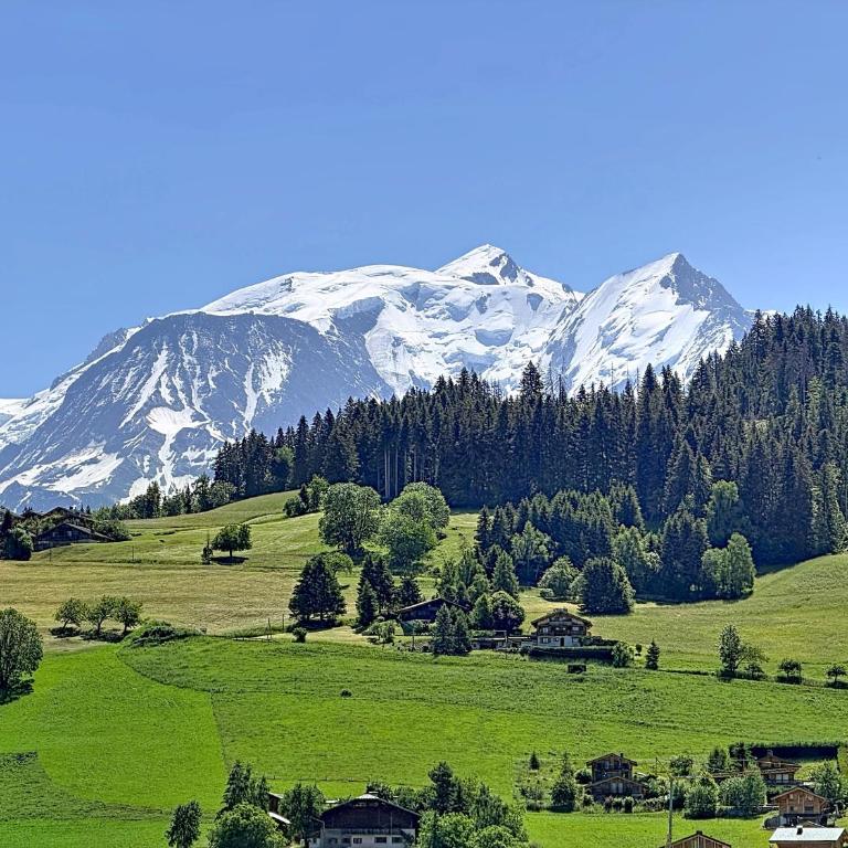 Chalet vue Mont-Blanc - 6 pers. - Chalet 3 Chambres - 25