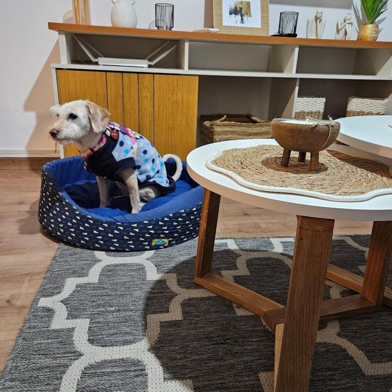 21 Premium Pet Firendly and Rambla - Apartamento de 1 dormitorio - 9