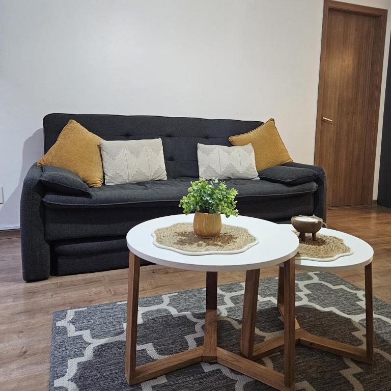 21 Premium Pet Firendly and Rambla - Apartamento de 1 dormitorio - 7