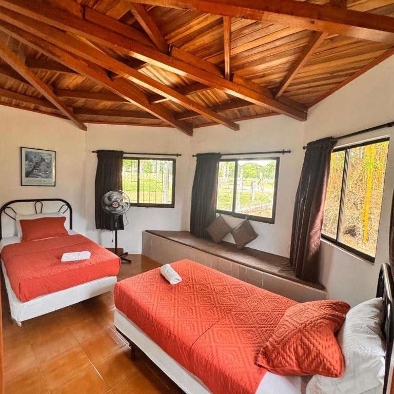 Finca Hotel El Rancho de Luigi - Habitación cuádruple - 2