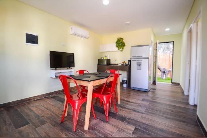 Liberta ll - Apartamento de 1 dormitorio - 9