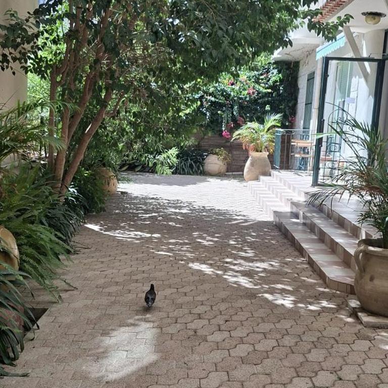 Studio Mer Juan-les-Pins - One-Bedroom Apartment - 17