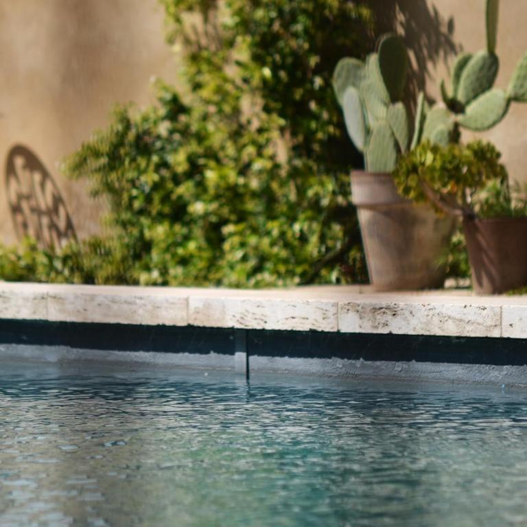 maison d'hôtes la ferme saint Pierre Drôme - Suite Deluxe avec Baignoire Spa - 4