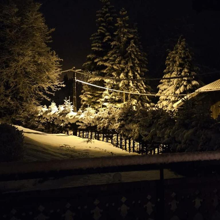 Beautiful Spacious chalet - Ideal for Families and Groups - Chalet - 67