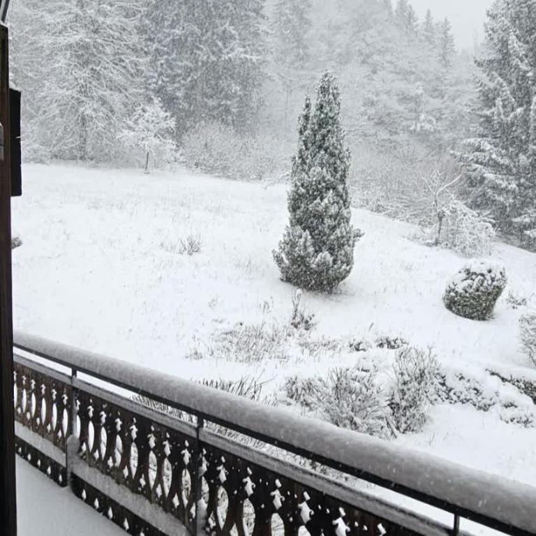 Beautiful Spacious chalet - Ideal for Families and Groups - Chalet - 66
