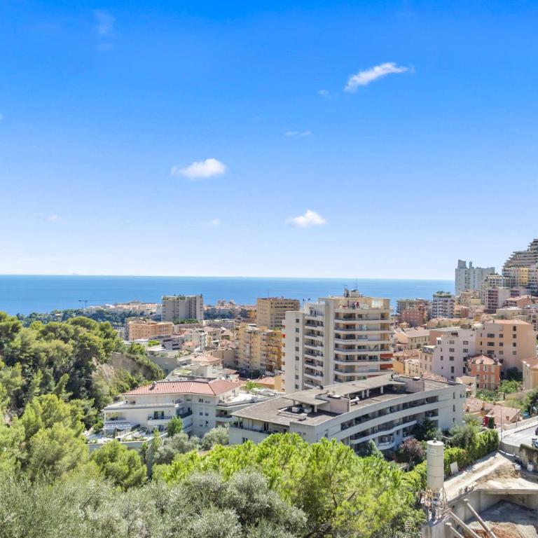 Luxurious 2-bedroom, pool, panoramic views, Monaco - HL - Appartement 1 Chambre - 53